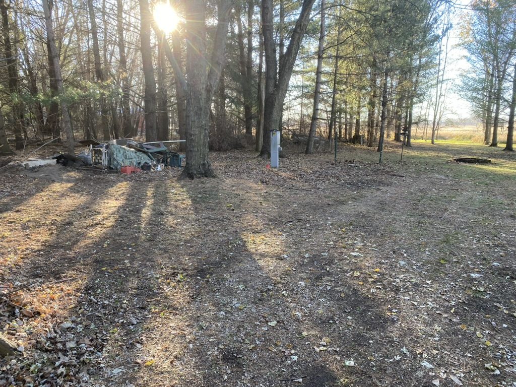 Open wooded ground after large outdoor material was removed.